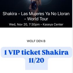 Shakira Concer VIP 11/20