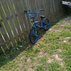 My old 20 Inch bike
