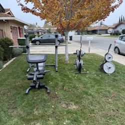 Weight Set + Bench Press/ Squat Rack/ Leg Extensions/ Preacher Curls