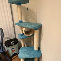 Two Blue Cat Tree
