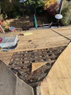Roof Techo
