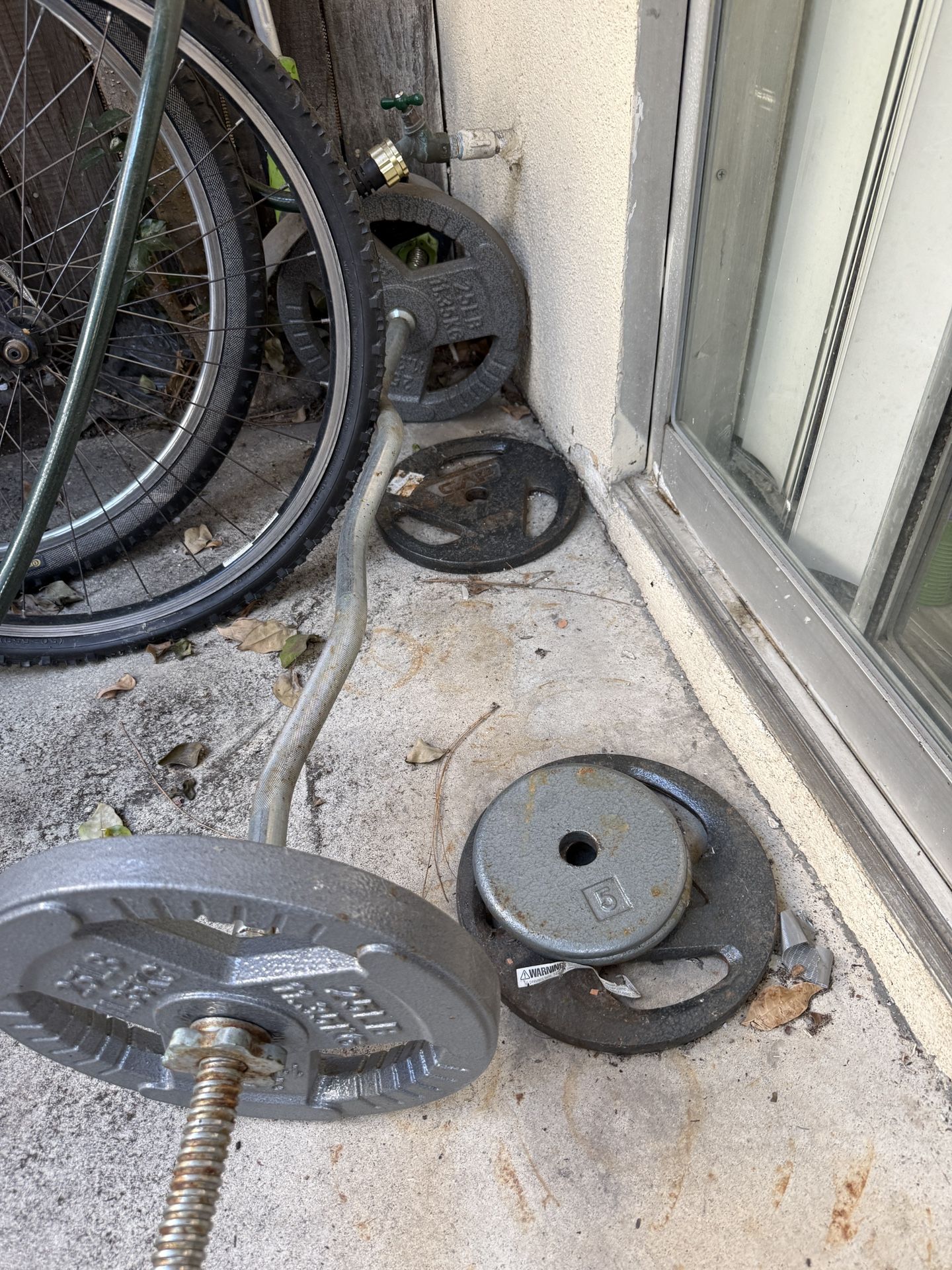 Curl Bar And Weights