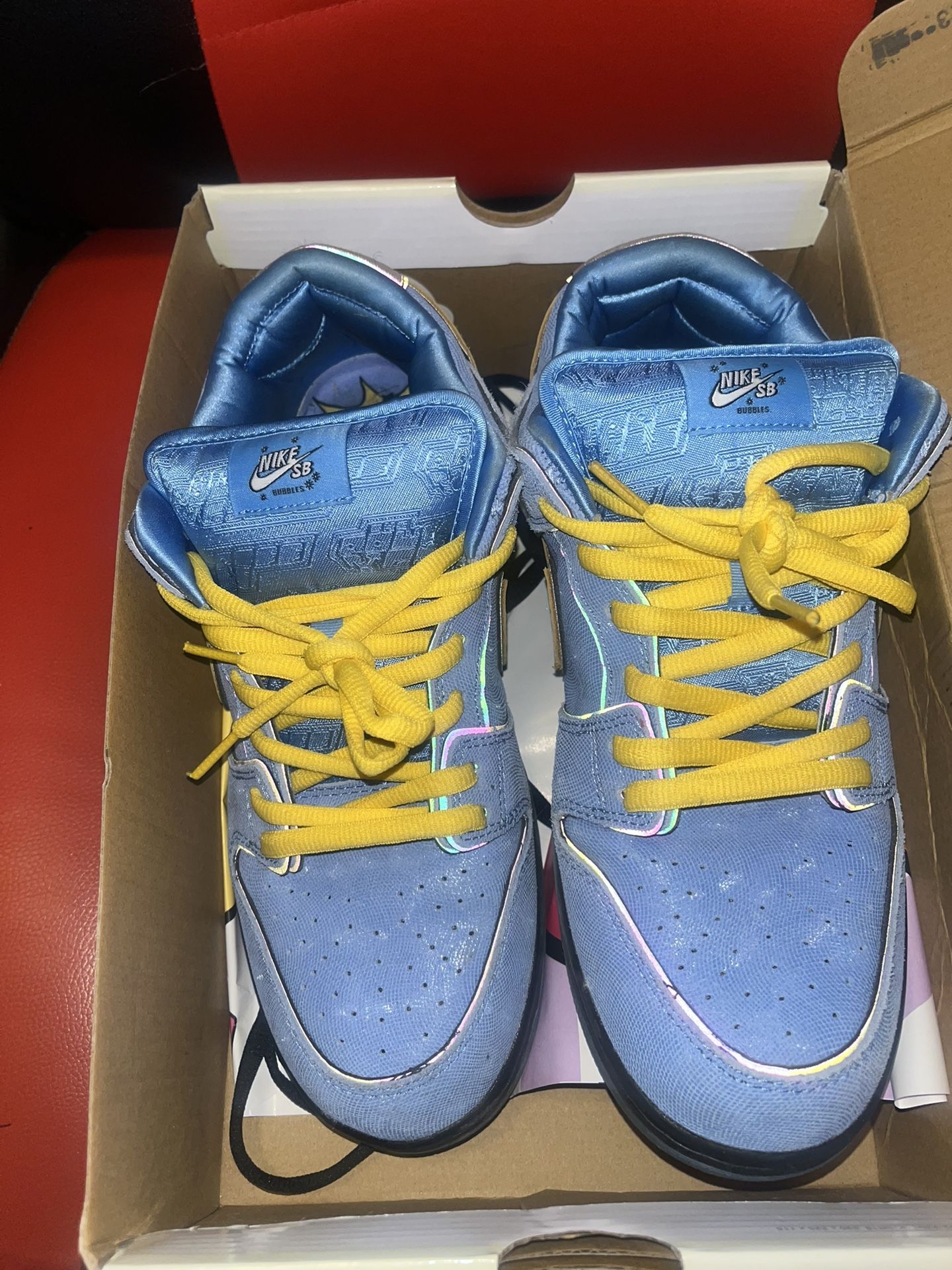 Nike Dunk Sb