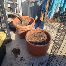 Pots ( Planters-teracota)