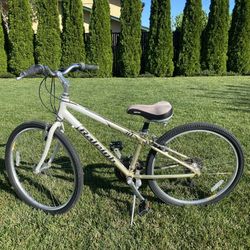 Raleigh SC-30 26-inch