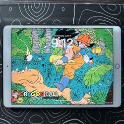 iPad Pro 10.5’ - 256 GB - 1st Generation - Offers Welcome!