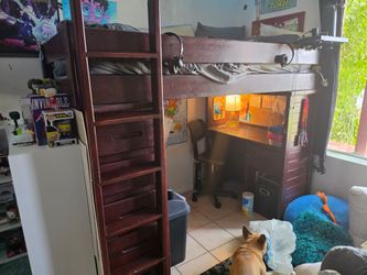 Twin loft bed/desk/shelves/dresser and futon
