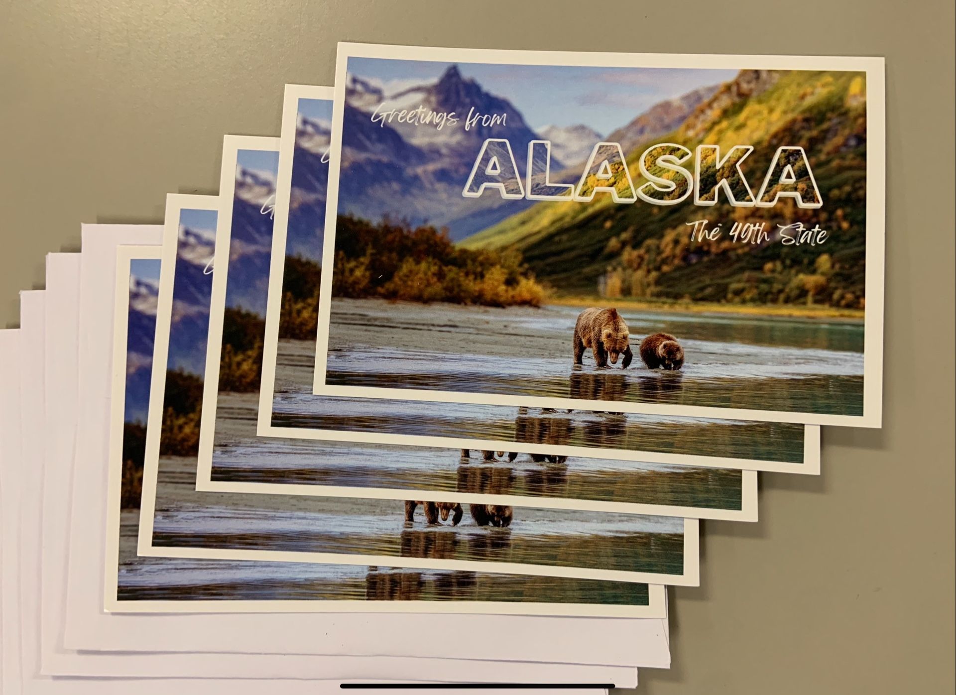 Greetings From Alaska Postcard + Envolope