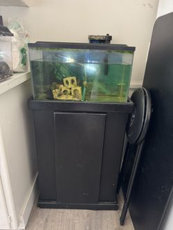 Fish Tank With Stand 