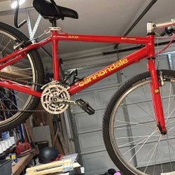 Cannondale Beast Of The East