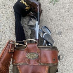 10 golf clubs and a bag for $20