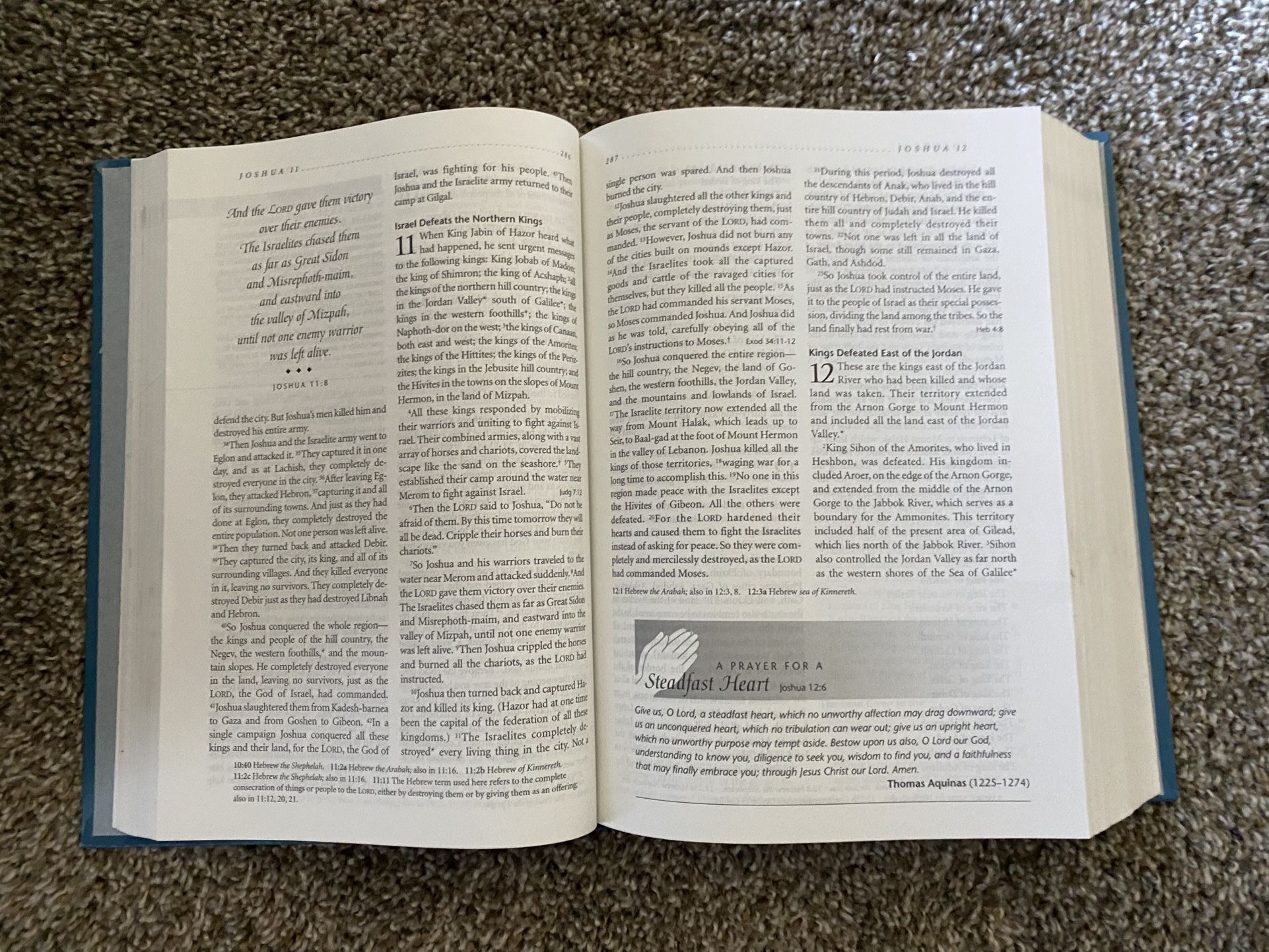 New Living Translation (NLT) Bible