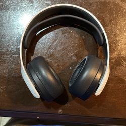 Ps5 Mic
