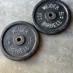 Weider 1inch Plates