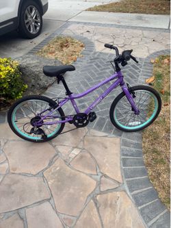 Guardian bike