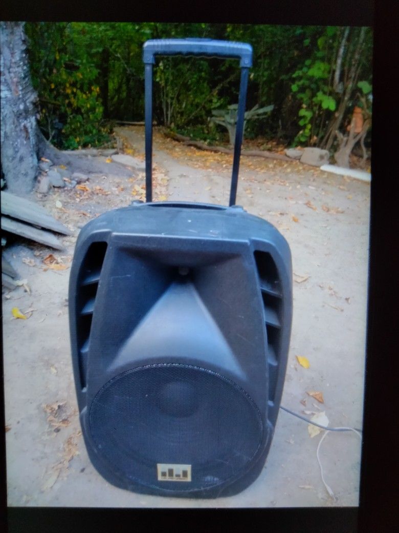 15in Portable Bluetooth PA System