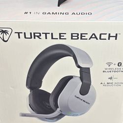 Turtle Beach Headphone 