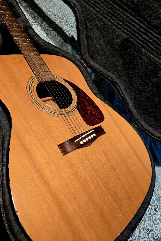 ~ Fender DG-7 acoustic guitar with TKL plush lined case, & strap