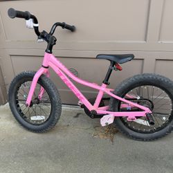 16” Precaliber Trek Bike