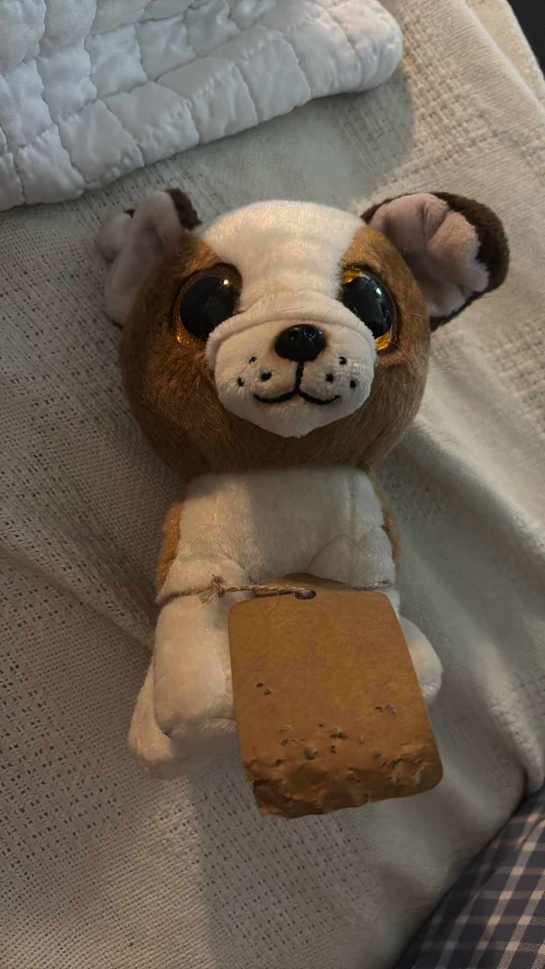 Small Doggie Plush Toy