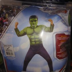 Hulk Costume 
