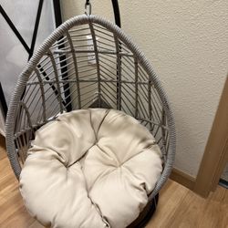 Cat Hammock