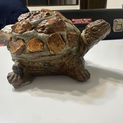 Healing Tortoise 