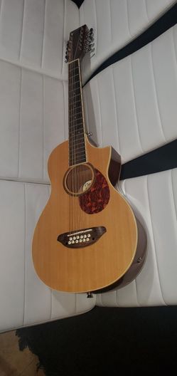 Johnson  guitar 12 strings 3/4