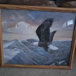 Framed Art - Eagle