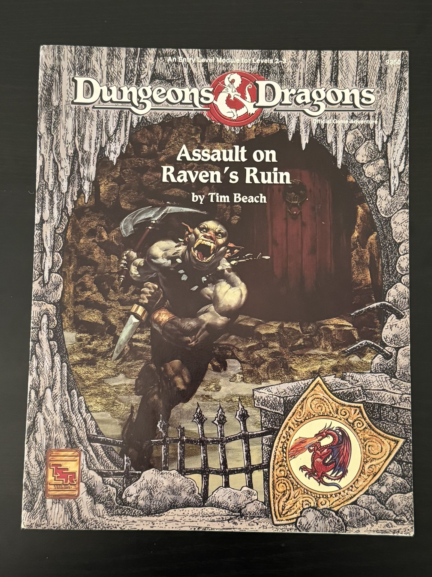 Dungeons & Dragons D&D Assault on Raven's Ruin 1992 TSR#9350 Cover/Module Only