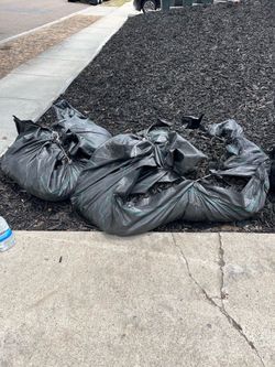 Black wood chip