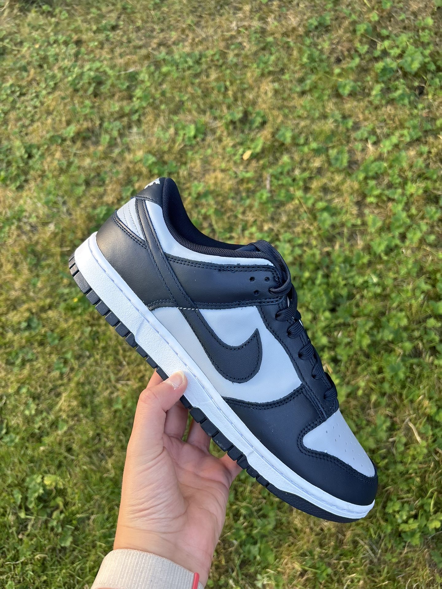 Nike Dunks Low Georgetown