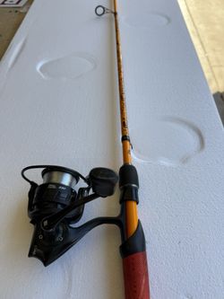 Abu Garcia Spinning Reel Combo