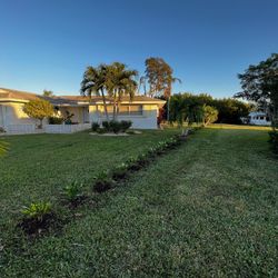 Clusias (Privacy Hedges)