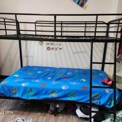 Twin Bunk Bed