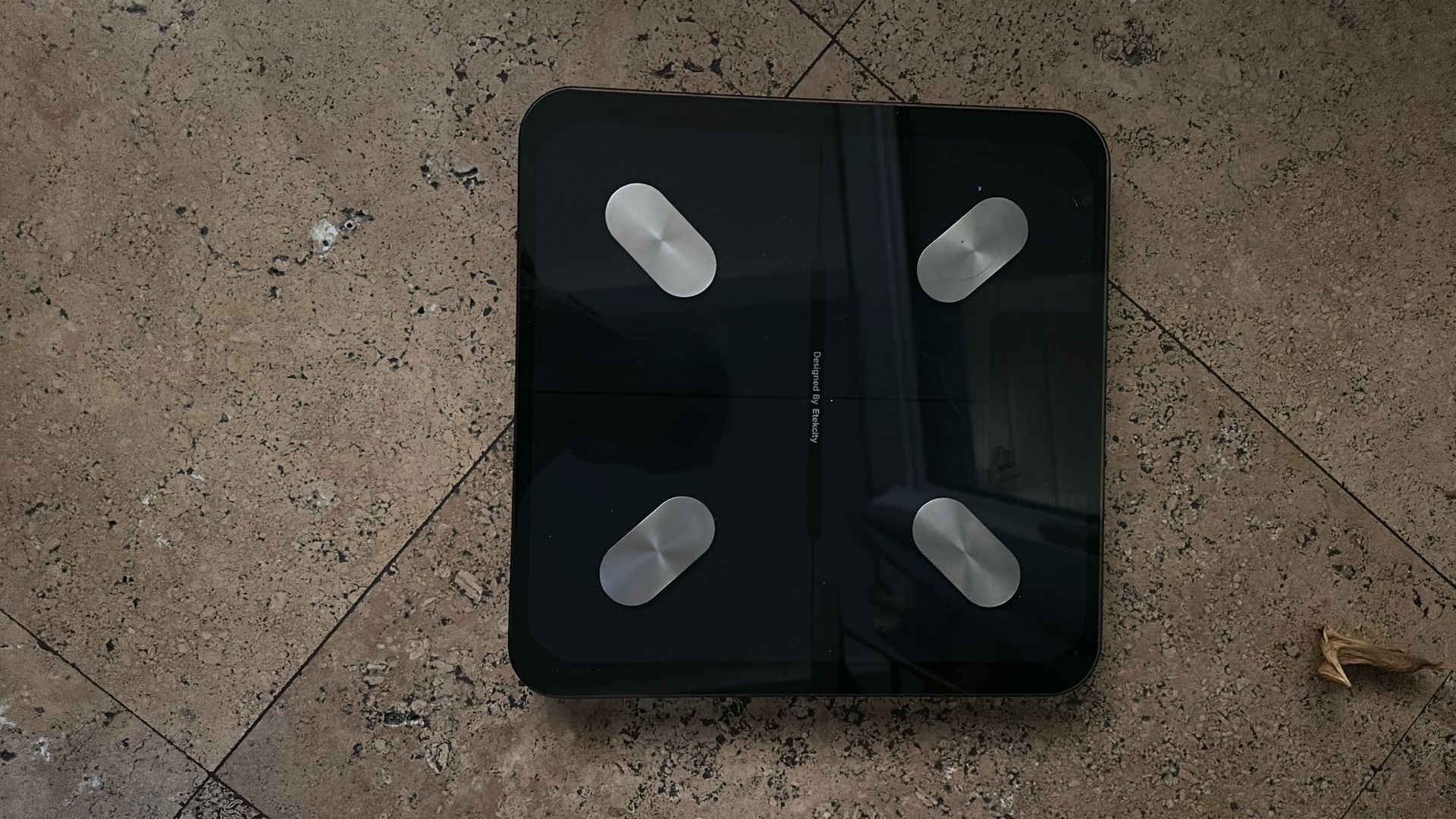 Etekcity Weight Scale