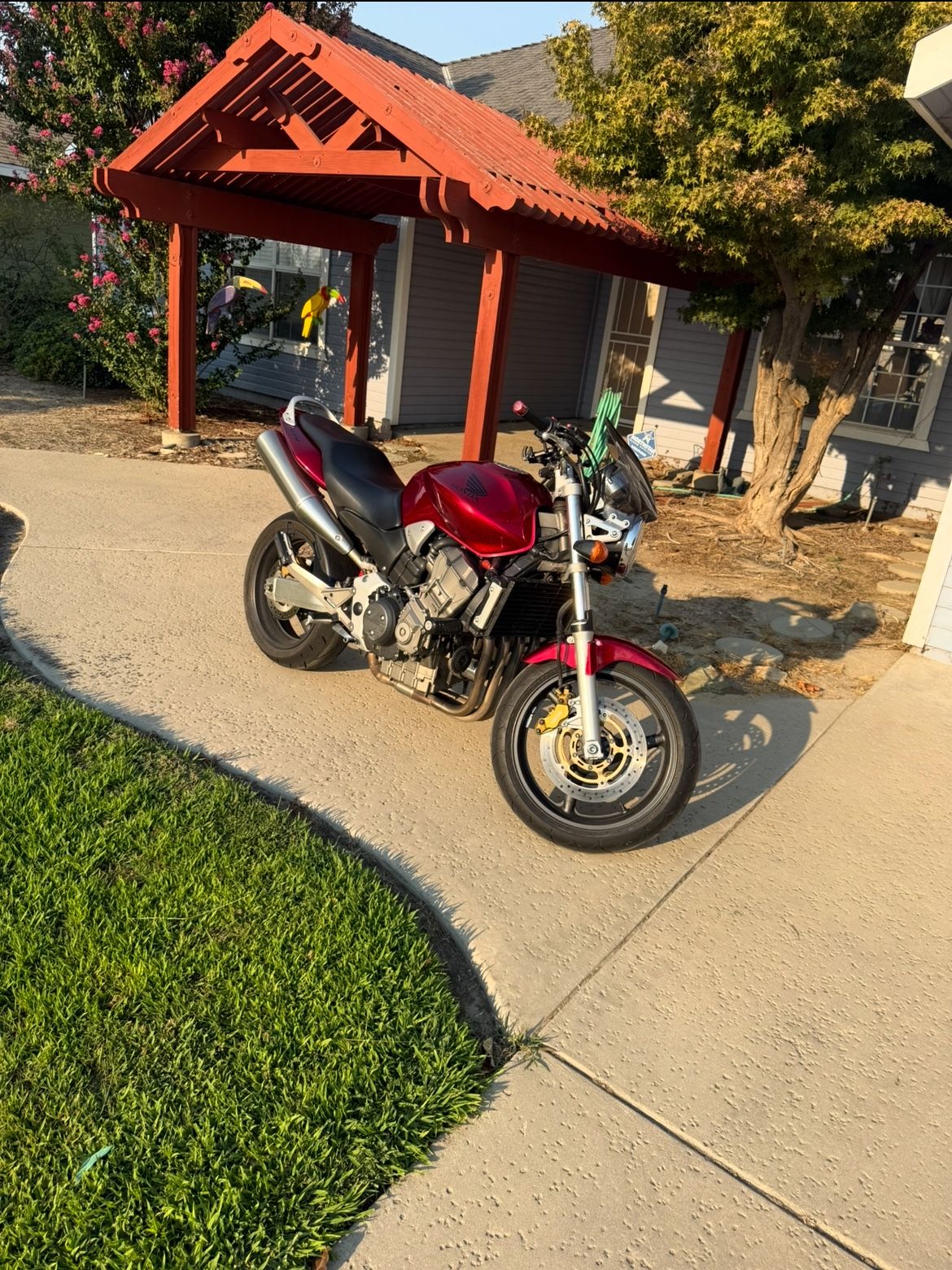 2007 Honda Hornet
