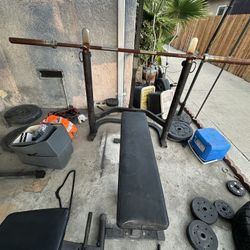 Bench Press