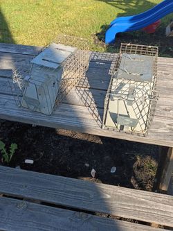 Medium size traps