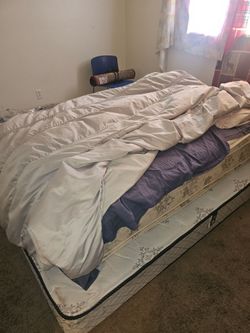 Free matress queen
