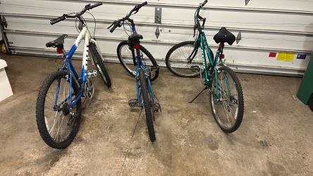 Amazing Adult Bikes
