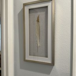 Artwork - Boho Feather 