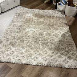 Modern Area Rug