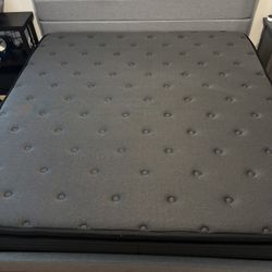 King Size Bed Frame And King Size Hybrid 14’ Mattress 