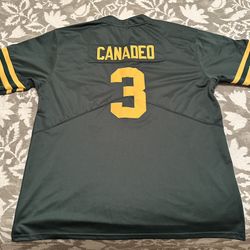 Green Bay Packers NFL #3 Tony Canadeo Green Stiched Jersey! Men’s size 2XL XXL! NEW! Very RARE!