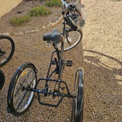E Bike Electric Trike Tricycle E Trike