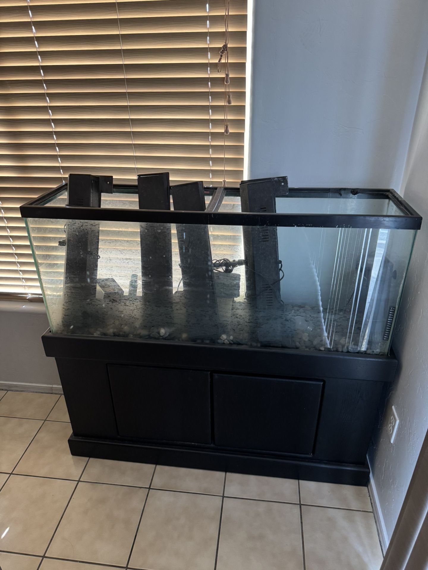 60 Gallon Turtle Tank