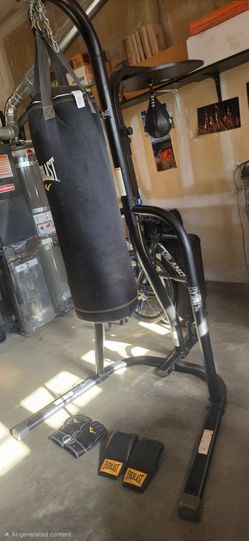 Everlasting dual punching bag /stand and glives