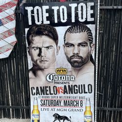 Canelo Vs Angulo Fight Card
