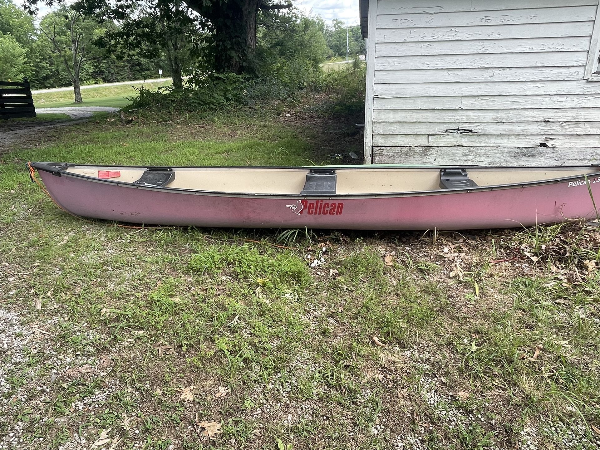 15.5 Pelican Canoe With 2 Paddles
